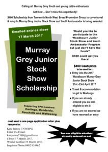 thumbnail of BPG Scholarship to Murray Grey Junior Stock Show